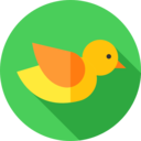 animals,bird,farming and gardening,farm,chicken ok 