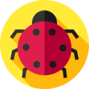 animals,bug,animal kingdom,insect,ladybug,Ladybird