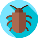 animals,bug,animal kingdom,insect,beetle