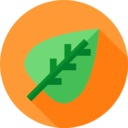 nature,plant,botanical,leaf,leaves,garden