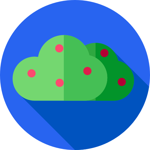 Bush