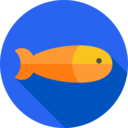 food,animals,healthy food,organic,diet,fish,sea life,animal ok 