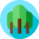ecology and environment,landscape,nature,trees,woods,forest,pines