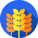 food,food and restaurant,nature,branch,supermarket,rice,farming and gardening,cereal,cereals,wheat,grain,seeds,grains