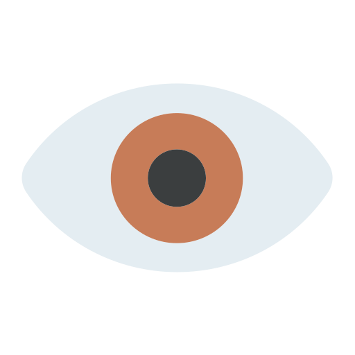 Eyes, eye, vision, organ, ophthalmology, optical, view icon