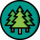 nature,botanical,tree,garden,yard,forest,pine ok 