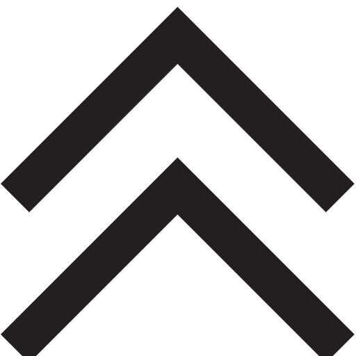 Arrow, double, up icon