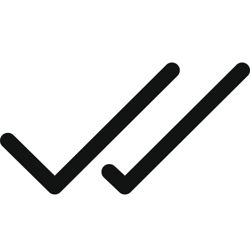 Checks, doublecheck, two checks icon