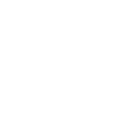 Mb, rec, video icon