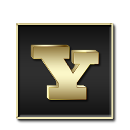 Yahoo icon