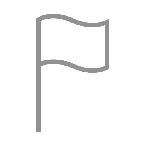 Flag icon