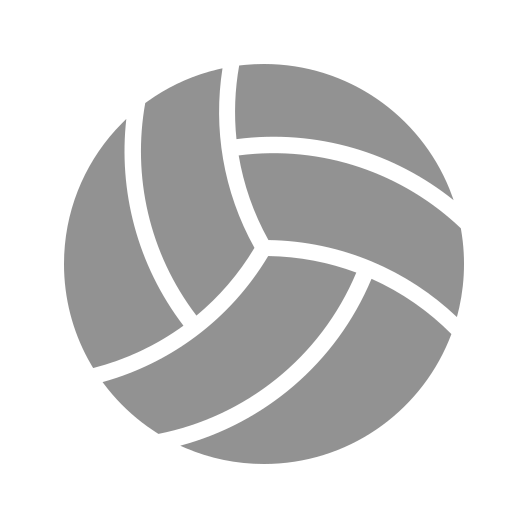 Volleyball icon