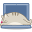 Cat force icon 64x64