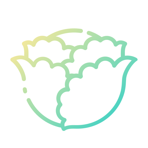 Cabbage
