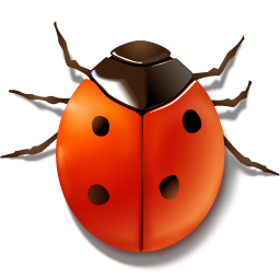 Animal, bug, insect, ladybird icon