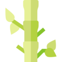 nature,plant,farming and gardening,gardening,botanic,bamboo
