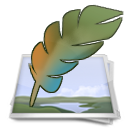 Favicon
