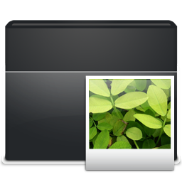 Folder, images icon