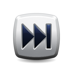 Next icon