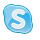 Skype icon