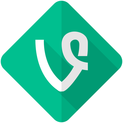 Vine, camera, media, movie, network, social, video icon