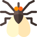 animals,nature,shape,animal kingdom,animal,insect,insects,fly,blow fly