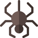 animals,bug,animal,spider,insect,arachnid,entomology,anim