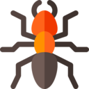 animals,animal kingdom,animal,insect,insects,ant,arthropod,ants,arthropods ok 