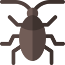 animals,bug,nature,animal kingdom,insect,beetle,cockroach