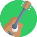 music and multimedia,musical instrument,music,entertainment,string instrument,orchestra,acoustic guitar,guitar,song,concert,rock,bass guitar