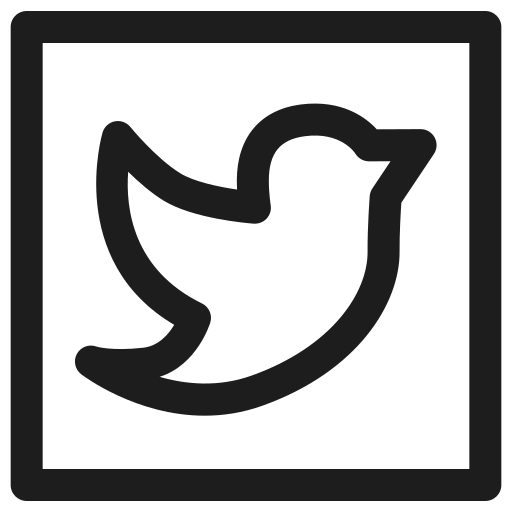 Chat, chatting, friend, social, social media, talking, twitter icon