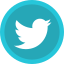 Social var 2 Flat icon 64x64