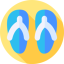 fashion,shoes,flip flops,travel,wear,sandals