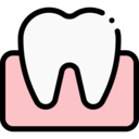 medical,healthcare and medical,dentist,tooth,dental,treatment,molar