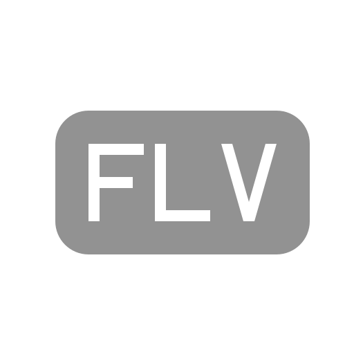 File, flv icon