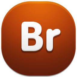 Bridge icon