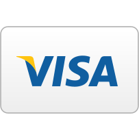 Visa, curved icon
