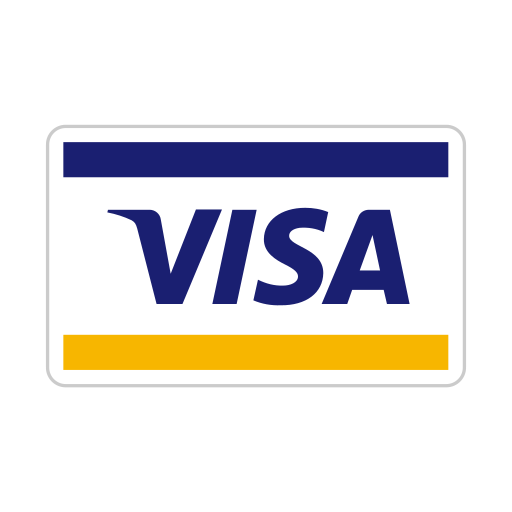 Charge, credit card, debit, payment, visa icon