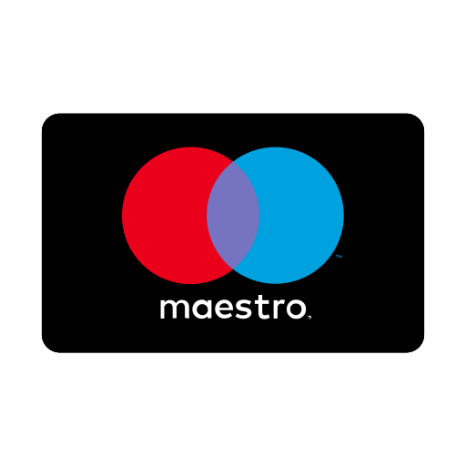 Charge, credit card, maestro, payment icon