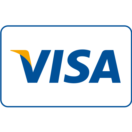 Card, cash, checkout, online shopping, payment method, service, visa icon