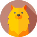 animals,dog,pets,mammals,pomeranian ok 