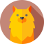 Favicon