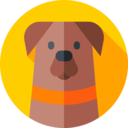 animals,mammal,pet,animal kingdom,dog,dog nose,Doberman