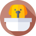 animals,mammal,pet,play,dog,pets,puppy,friends,owner,cuddle
