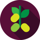 food,vegetable,healthy food,food and restaurant,organic,oil,olive,olives