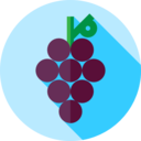 food,vegan,healthy food,food and restaurant,organic,diet,vegetarian,fruit,grape,grapes ok 