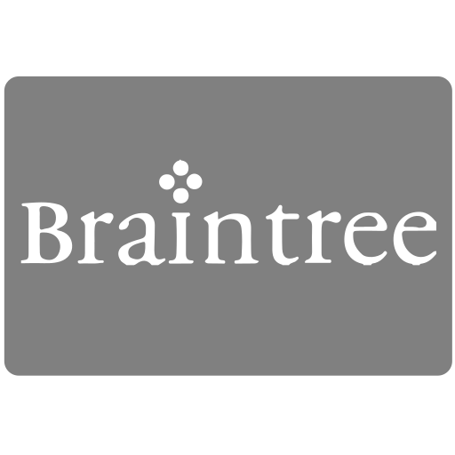 Payment, braintree, methods icon