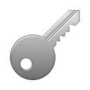 Key icon