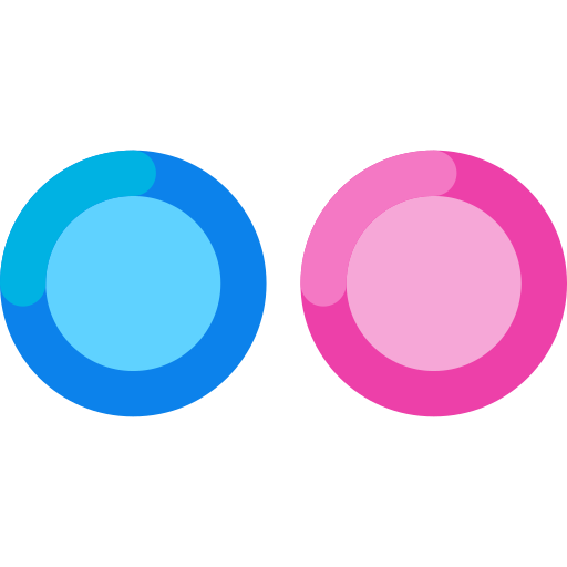 Application, flickr, image, photo, picture icon