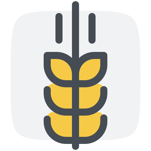 Wheat, spikelet, of, ukraine icon